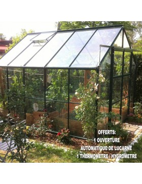 Jade Serre 7,50m2 in grün lackiertem Aluminium und gehärtetem Glas mit Basis