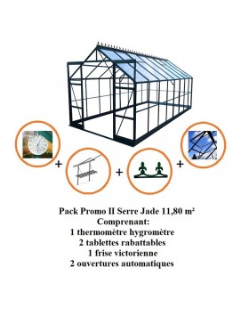 Pack Promo n°3 - Serre Jade 11,80 m² en aluminium laqué vert et verre trempé avec base