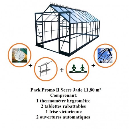 Pack Promo n°3 - Serre Jade 11,80 m² en aluminium laqué vert et verre trempé avec base