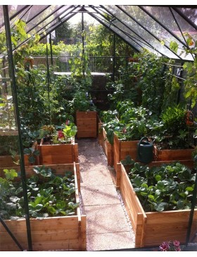 innen Jade Serre 6,00 m2 in grün lackiertem Aluminium und gehärtetem Glas mit Himmelsboden mein Garten