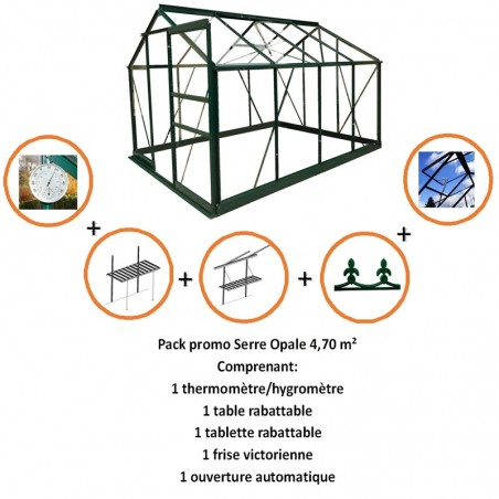 Pack promo n°1 - Opale Serre 4,70m2 in grün lackiertem Aluminium und gehärtetem Glas mit Himmelsboden mein Garten
