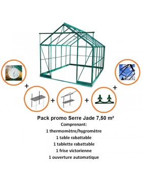Pack Promo n°1 Serre Jade 7,50m2 in grün lackiertem Aluminium und gehärtetem Glas mit Basis