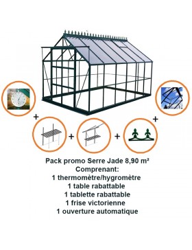 Pack promo n°1 - Jade 8,90m2 in grün lackiertem Aluminium und gehärtetem Glas mit Basis