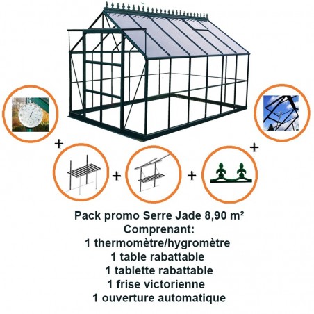 Pack promo n°1 - Jade 8,90m2 in grün lackiertem Aluminium und gehärtetem Glas mit Basis