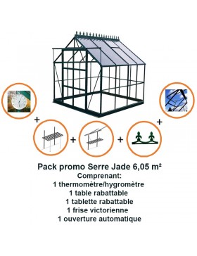 Pack promo n°1  Serre carrée Jade 6.05m² en aluminium laqué vert et verre trempé  avec base