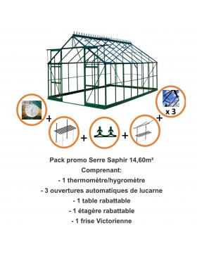 Pack promo n°1  Serre Saphir 14,60m² en aluminium laqué vert et verre trempé avec base