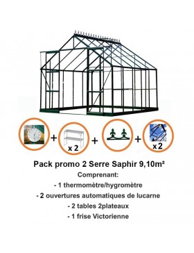 Pack promo n°2 - Serre Saphir 9,10m² en aluminium laqué vert et verre trempé avec base