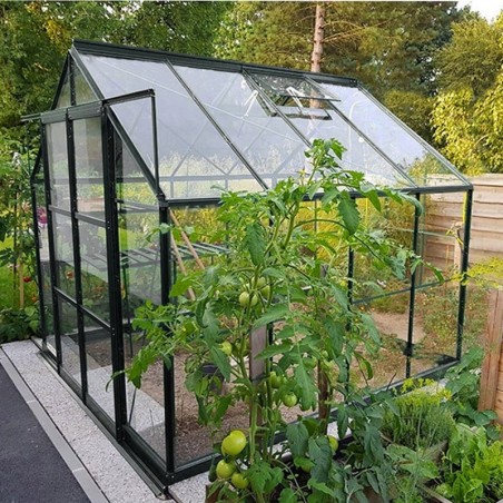 Jade kas van 6,00 m² in zwart gelakt aluminium en gehard glas met een "Ciel mon jardin" basis