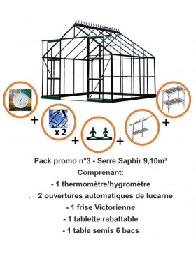 Rabattpaket #3 - Saphir Serre 9,10m2 in grün lackiertem Aluminium und gehärtetem Glas mit Basis