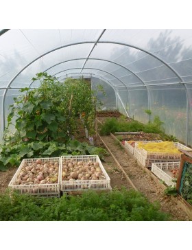 Binnenkas voor tuinbouw, 4 x 4 m, Frans fabricaat