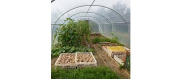 Binnenkas voor tuinbouw, 4 x 4 m, Frans fabricaat