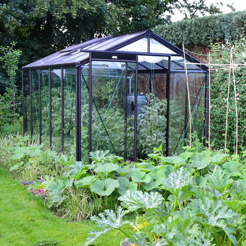 Prestige kas van 8,61 m² in zwart gelakt aluminium en R205 gehard glas