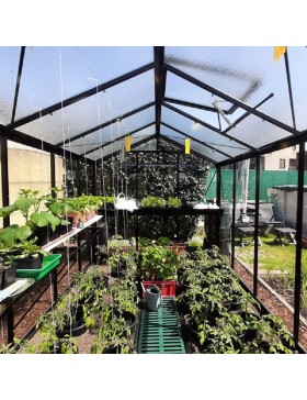 Prestige kas van 8,61 m² in zwart gelakt aluminium en zwart R205 gehard glas aan de binnenkant