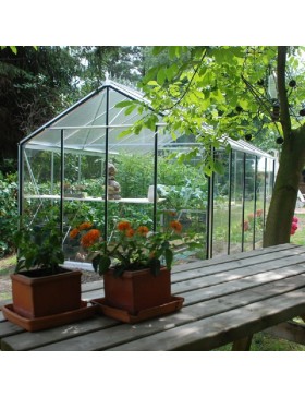 Prestige kas 11.35m in natuurlijk aluminium en R305H gehard glas