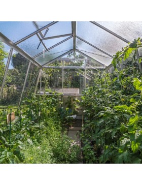 Interieur Prestige Kas 9.12m in natuurlijk aluminium en ACD gehard glas