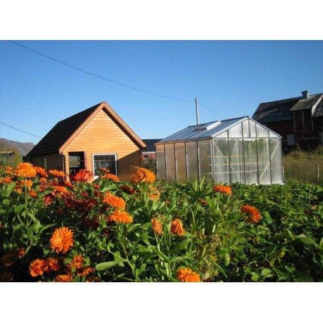 Janssens Helios Master 18,80m² kas in natuurlijk aluminium en polycarbonaat met onderbouw