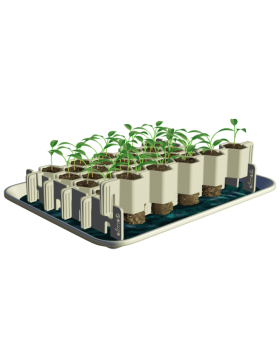 copy of Jade 890 ankerbreuk...