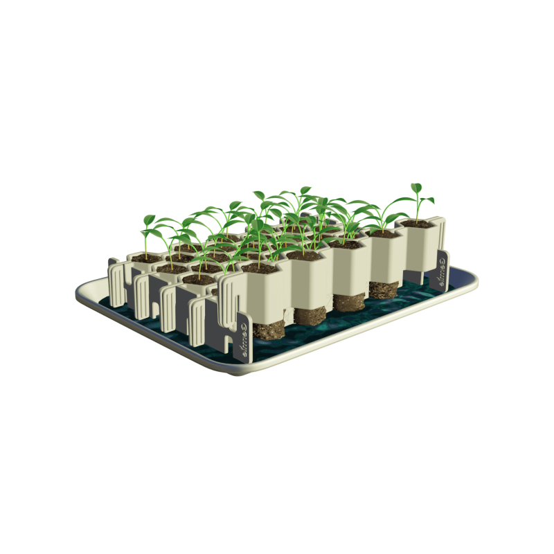 Germoir petites graines 41 mini mottes