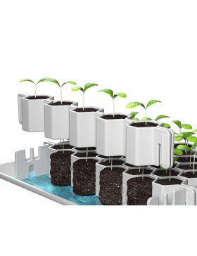 Germoir petites graines 41 mini mottes