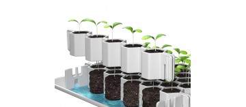 Germoir petites graines 41 mini mottes