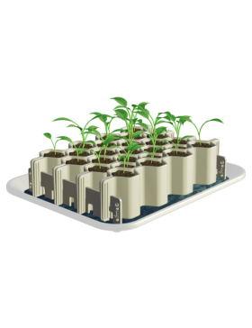 Kit de germination graines moyennes 25 plants