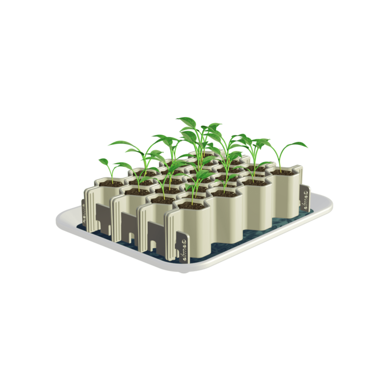 Kit de germination graines moyennes 25 plants