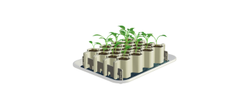 Kit de germination graines moyennes 25 plants