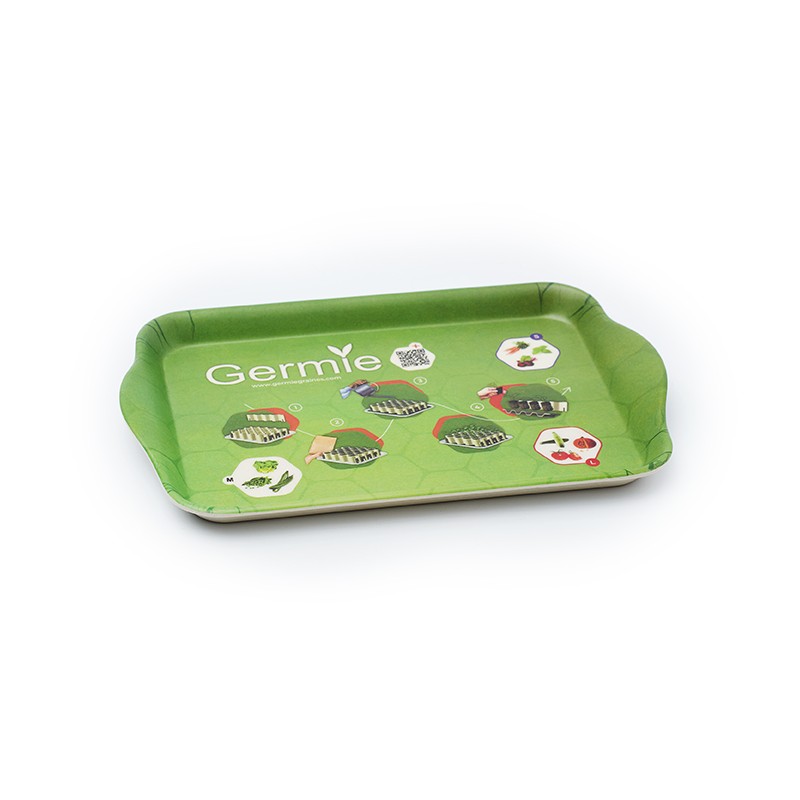 Plateau de semis bambou