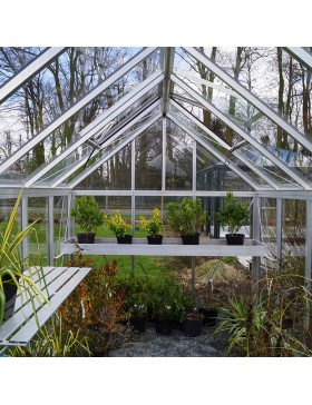 Janssens Eos Junior 7,30m² kas in natuurlijk aluminium en gehard glas met voet